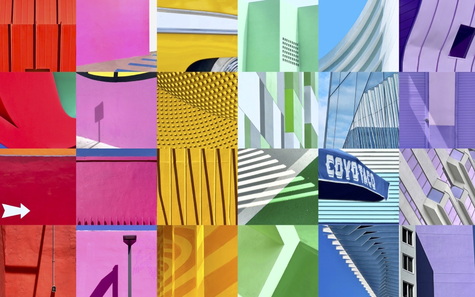 Miami Color Theory <br /> Image copyright: Laura Paresky Gould