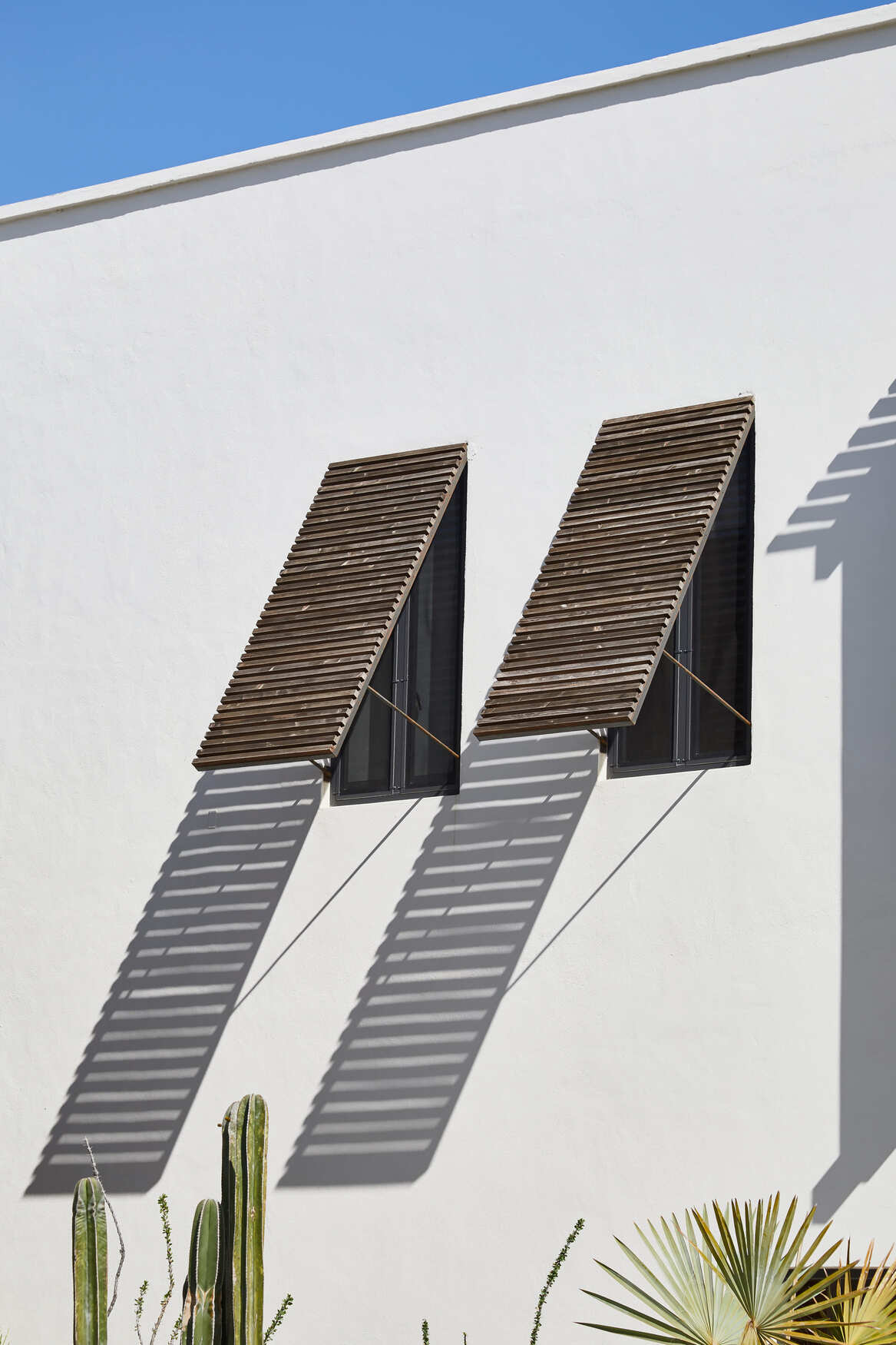 ©Andrea Calo