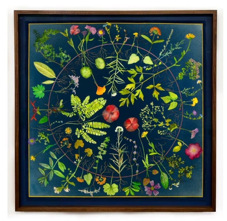 Circle of Life <br /> Image copyright: Courtesy of Julia Whitney Barnes  Circle of Life <br /> Image copyright: Courtesy of Julia Whitney Barnes