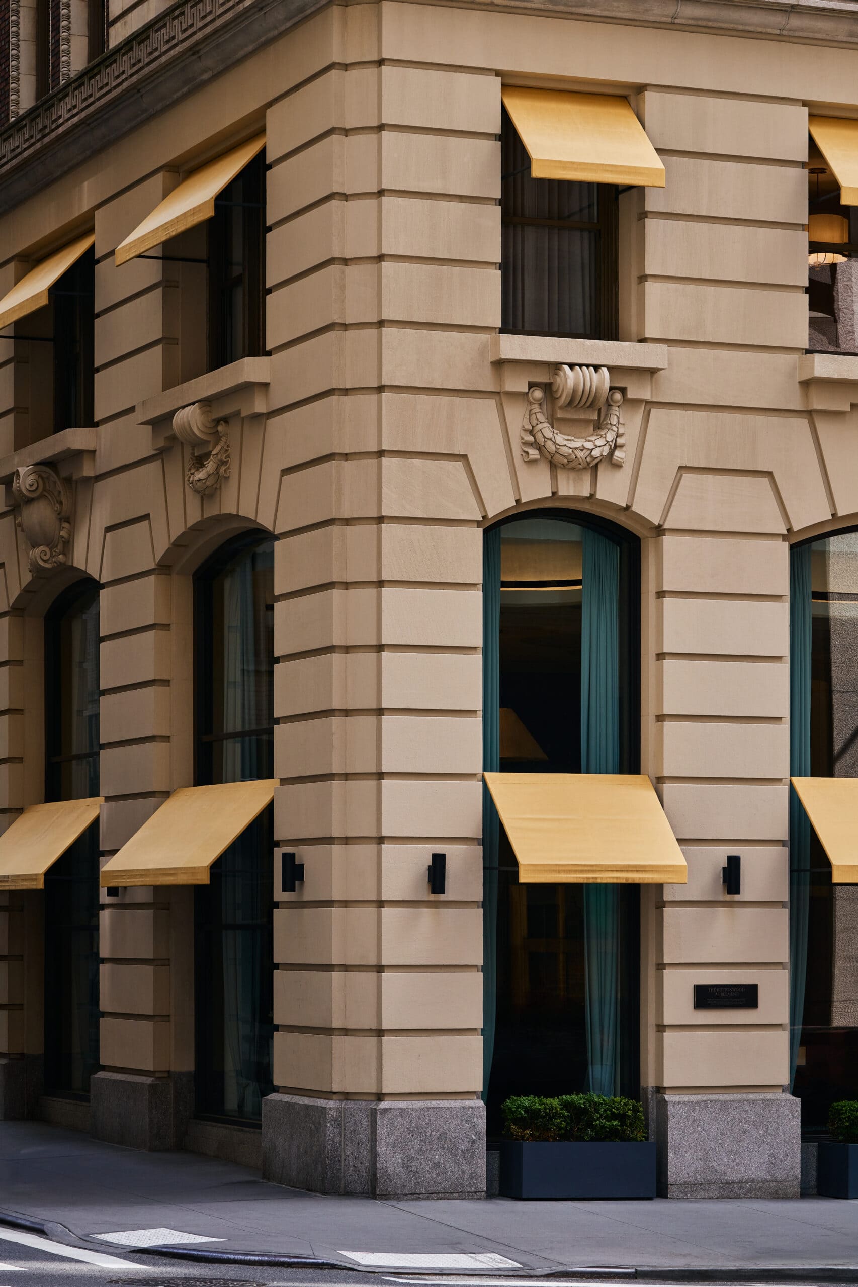 ©Zeph Colombatto ©Zeph Colombatto